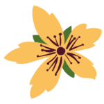 Naturopathe et Massages thérapeutiques en Gruyère