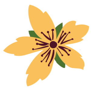 Naturopathe et Massages thérapeutiques en Gruyère